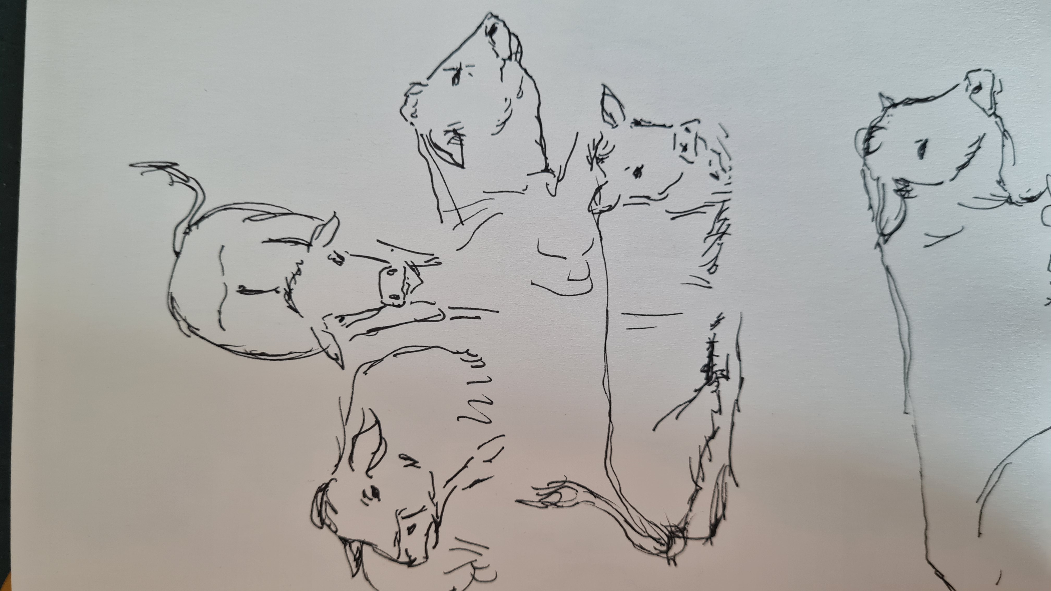 croquis de personnes